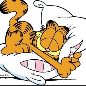 Meet your Posher, Sophia